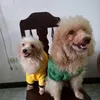 linlingandfriends