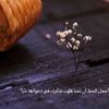 anaqah66