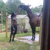 shawndale_cason
