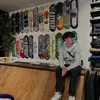 theo_hg11