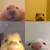 briiiii_942