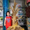 westernthinhnguyen