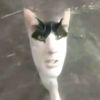 dontknowmyownname5