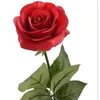 poppyrose2468