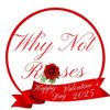 whynot_roses