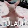 cinthachuu