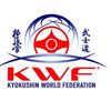 bat_yam_dojo_kwf