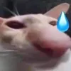 trongdeptraiquas