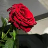 zlt3.l