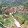 zhombie_22