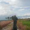 tesarah_lo