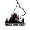 caracal_urban_project