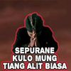 bejo.11