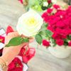 www.heba93