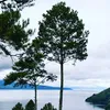 queqyra