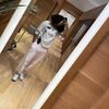 jaedee_5