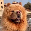 winnie_love1