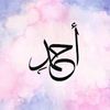 ahmed81500