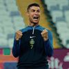 ibra_241