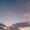 sunsetntulips_