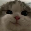 rikiiku_