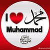 rashidjatt445