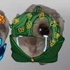 levaya_mouse