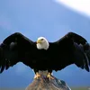 uhfty76t