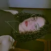 yasssalvs