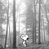user2012766926