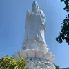 mindang2016
