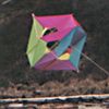 shitkite