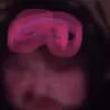 jessicacourtney7