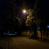 sharntai_842