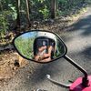 dimasbgssjw