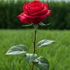 khalid4877710498219