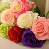 nilay_0274