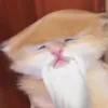 dayblessedg
