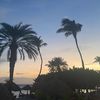 kolichvacations