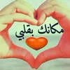 user41679874365053