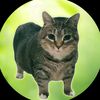 oiiacat_ethel