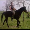 jimmyslok