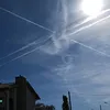 soarsa_alba75