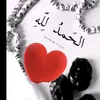 95salsabil
