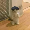 julio_silva234