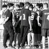 seif_ebbed1