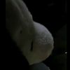 aerdna_me