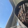 z5paid_