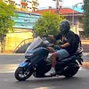 mnlsison
