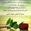 youcefsouci